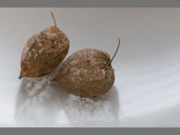 click this thumbnail to see full size