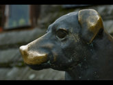 click this thumbnail to see full size