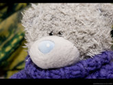 click this thumbnail to see full size