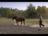click this thumbnail to see full size