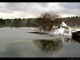 click this thumbnail to see full size
