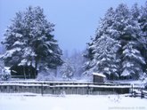 click this thumbnail to see full size