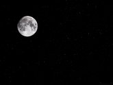 click this thumbnail to see full size
