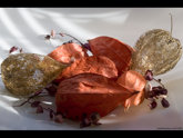 click this thumbnail to see full size