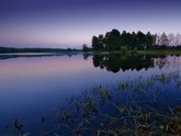 click this thumbnail to see full size