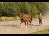click this thumbnail to see full size