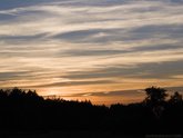 click this thumbnail to see full size