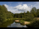 click this thumbnail to see full size