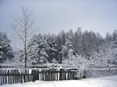 click this thumbnail to see full size